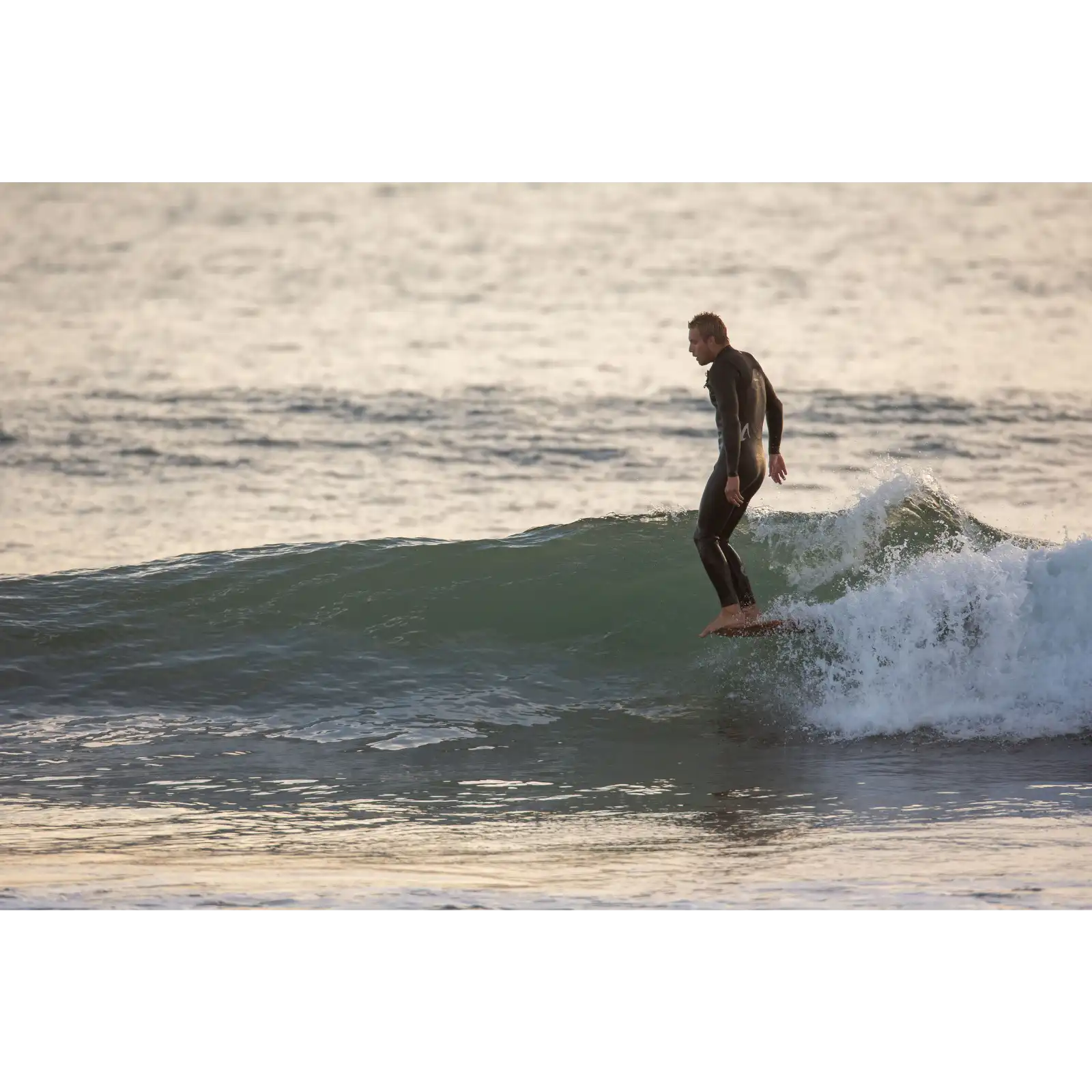 Wayne Rich Wildcard 3 - NFT    Aroona Surf, Sydney