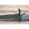 Wayne Rich Wildcard 3 - NFT    Aroona Surf, Sydney