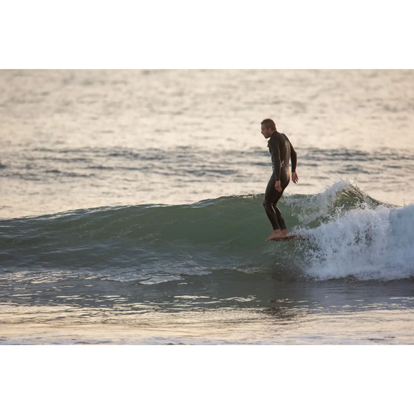Wayne Rich Wildcard 3 - NFT    Aroona Surf, Sydney