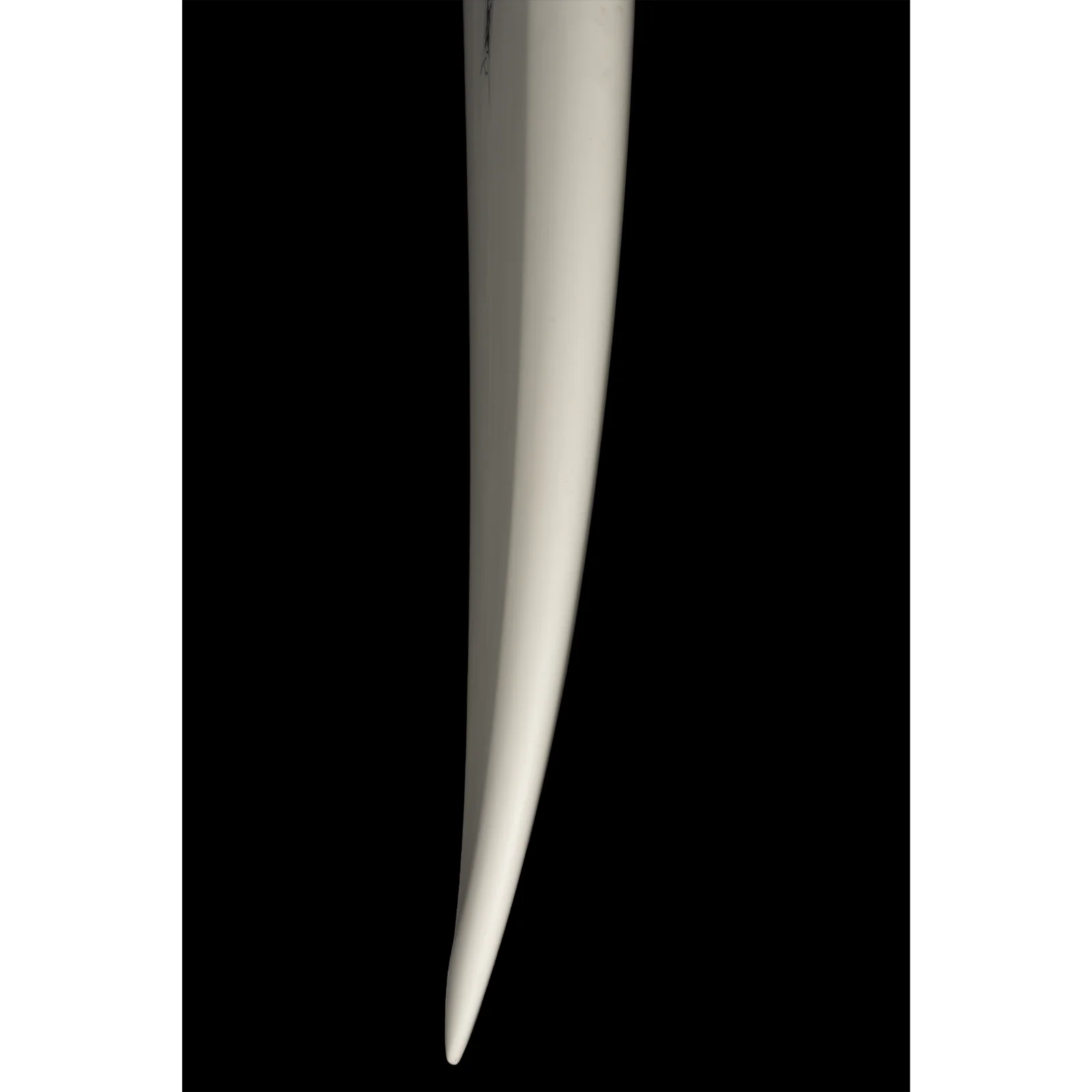 Wayne Rich Singularity - Diamond Tail - Carbon Aroona Surf, Sydney