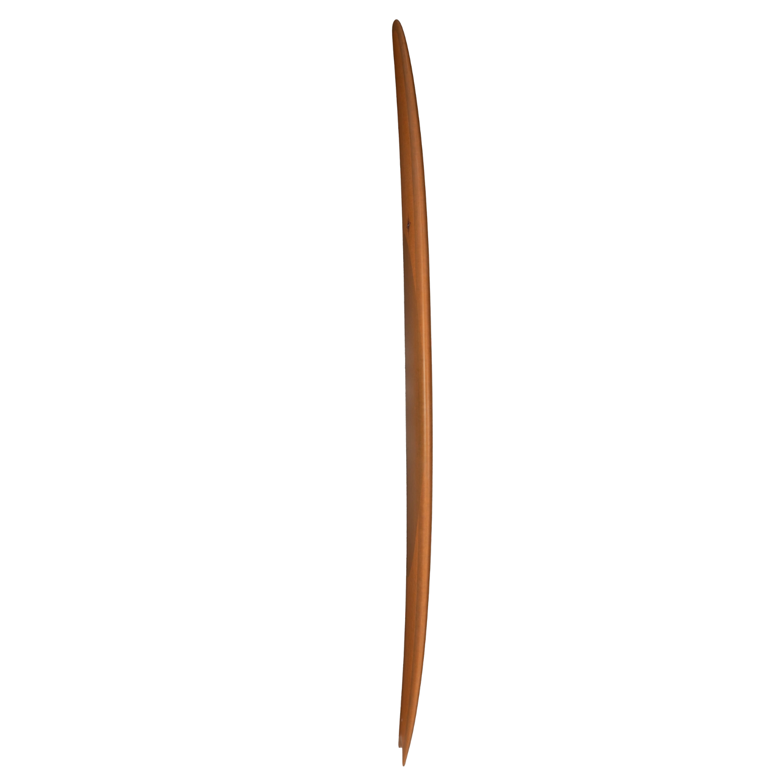 Wayne Rich Wildcard 3 - NFT    Aroona Surf, Sydney