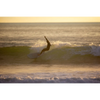 Wayne Rich The Checkmate - NFT    Aroona Surf, Sydney